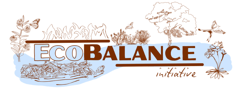 EcoBalance